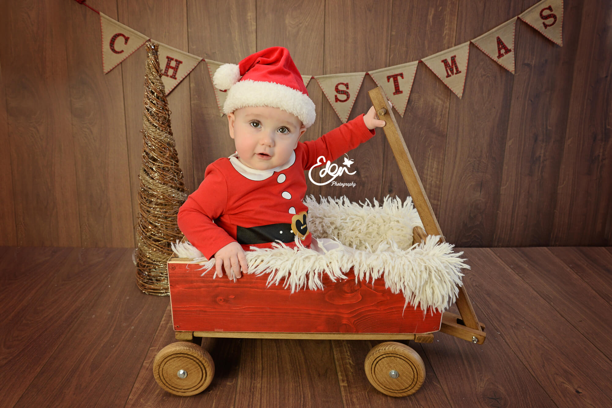 Christmas Baby in a Sledge