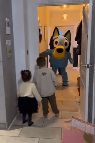 Bluey Suit Hire Liverpool